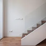 Apartman Comfy *
